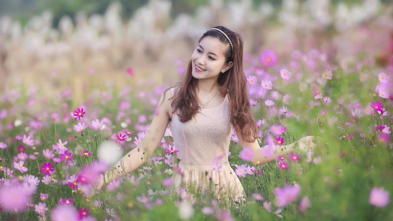 html代碼（html代碼怎樣添加圖片）
